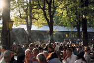 Muenchen-Hofbraeukeller-Biergarten-190